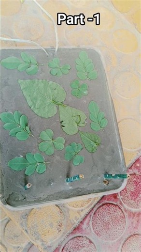 DIY cement wall hanging | DIY easy wall decor ideas ✨