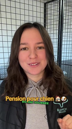 Pension idéale pour chiens avec expert canin