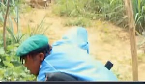 18K views · 744 reactions | Abobi 12 Out now Link below  | Jagaban_ | Facebook