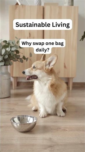 Eco-Friendly Pet Care Tips | Sustainable Dog Hacks-Eco Tips for Dog Owners | GoEcoPaw Hacks