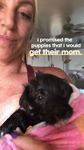 This woman rescued a litter of stray puppies — and went back every day looking for their mom 🙏 | The Dodo