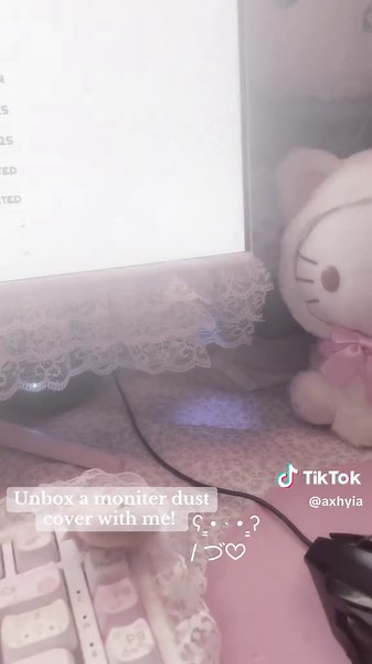 Unboxing a Cute Monitor Dust Cover