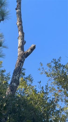 Michelle Nelson-Schmidt on Reels | Facebook