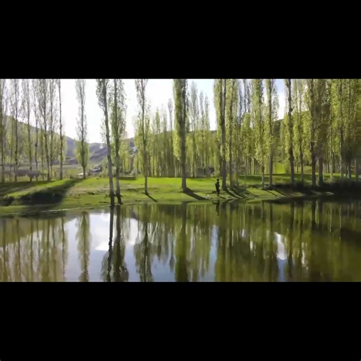 Brutal fight scenes that’ll make your heart race 🥊🔥 #FightClub #SavageScene #MovieMagic #Brawl #Fighter #Punch #FYPシ #PowerMoves #FilmFights | Ghettotvmax