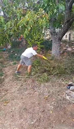 Plot cleaning (καθαρισμός οικοπέδου) #4