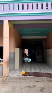 Year 5 Science in Action: Paper Parachute ✨ Sivilay 1 || Science Experiment Today, our Year 5 students explored the force of gravity and air resistance through a fun and hands-on experiment—making paper parachutes! Using only string, paper, tape, and small weights, the students designed and tested their own parachutes. They observed how the size and shape of the parachute affected how slowly it fell to the ground. ⏳🔍 This engaging activity helped them understand how air resistance works against