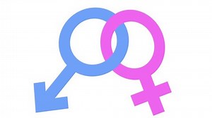 Interlocked Gender Symbols Male Female Stock Footage Video (100% Royalty-free) 30606754 | Shutterstock