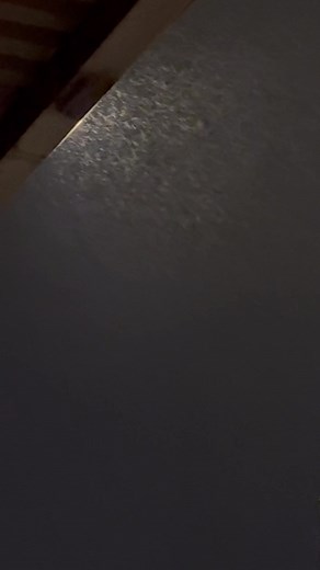 65K views · 1.2K reactions | Have ur weather forecaster here. It’s snowing! ❄️ #Snowing #weather #fblifestyle #trending | Kimberly Williams | Facebook