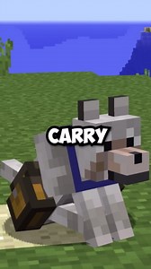Minecraft wolf armor mod: storage, diamond armor, and more!