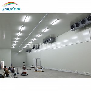 [Hot Item] Energy Conservation Cold Freezer Room Walk in Freezer Cold Room Price