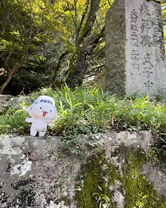 All Nippon Airways on Reels