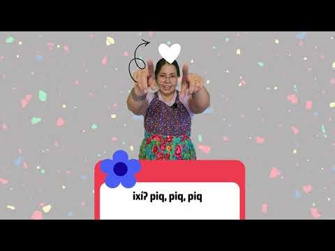 c̓aʔknílxʷ qʷil̓əm Video