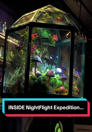 NightFlight Expedition Dollywood POV: Full Queue Walkthrough
