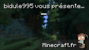 Build Commands - Minecraft.fr