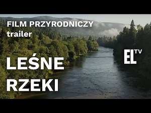 Leśne rzeki - film przyrodniczy [TRAILER]