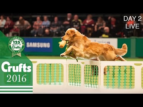 Day 2 Live | Crufts 2016