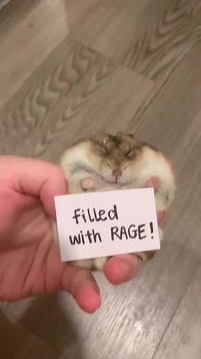 Message not approved