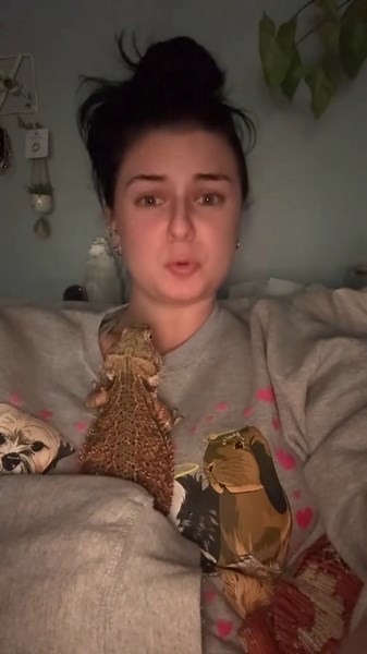 Loving My Bearded Dragon Ultimate Bearded Dragon Care and Setup Tips