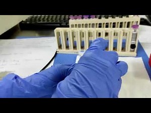 Biorad-D10 : Installing a New Kit - Part 8