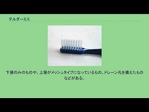 テルダーミス