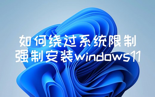 如何绕过系统限制强制安装windows11