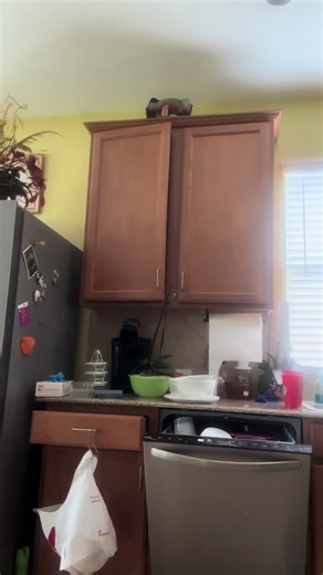 1 tablespoon instant coffee 1 tablespoon of brown sugar Splash of vanilla extract 2 tablespoons spoons of hot water Ice Milk