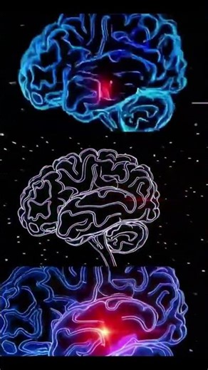 Why Your Brain Overreacts to Small Problems 😳