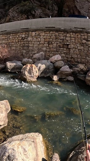 The wind made it hard to give a good presentation. #flyfishing #euronymphing #fishing #troutfishing