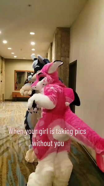 Fursuit Manokit and Dolphin Fursuit Photo Session