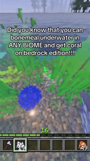 Why Minecraft Bedrock Edition is Superior