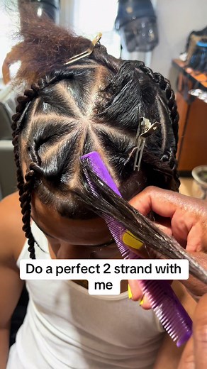 Perfect Two Strand Twist Tutorial for Locs