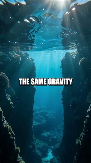 The Invisible Cartographer Gravity's Hand on Earth's Coasts