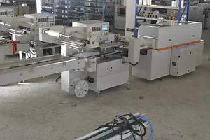 [Hot Item] Automatic Soap Shrink Wrapping Machine Horizontal Shrink Wrapper