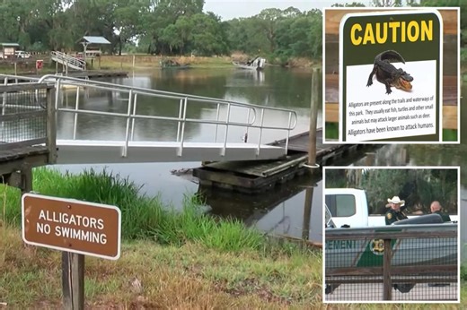 Kayaker attacked and killed by alligator at Florida state park: officials