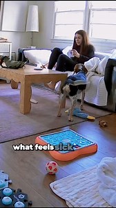 357K views · 2.7K reactions | A viewer in Bonita Springs told me about her daughter’s dog that can communicate by pressing buttons. So cool!  @heyjudethebeagle on Instagram | Peter Busch | Facebook