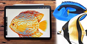 Illustrate Tropical Fishes In Procreate | Vinita Upadhya | Skillshare