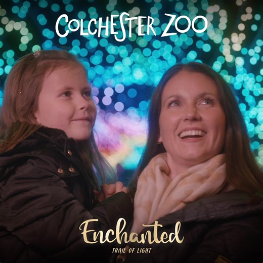 622 reactions · 115 shares |  Our ever-popular Enchanted: Trail of Light is back for 2024! Take a journey filled with magic & light as we make you feel festive and bright. ↪️ Pre-book your tickets today to avoid missing out at https://www.colchesterzoologicalsociety.com/event/enchanted-trail-of-light/ | Colchester Zoo | Facebook
