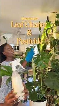 CLEAN THOSE LEAVES WITH SEXY PLANT JUICE SPRAY! 🪴🧽🧼