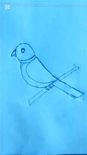 How to Draw Birds Easy 🐦 | Simple Drawing for Beginners #Shorts