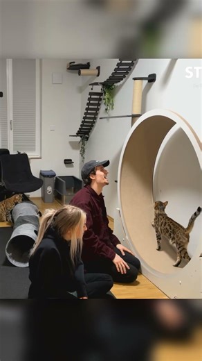 That was absolutely outrageous of Gronkh! 😂