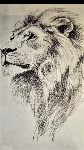 Tiger face sketch real #sketch