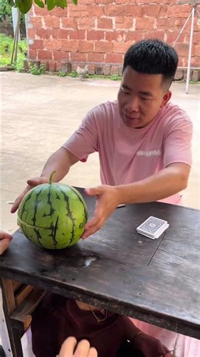 There Are Experts Among The People, A Collection Of Funny Moments In Rural Areas