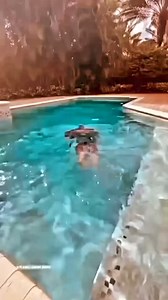 Mark Morrison on Reels