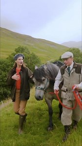 Discover the traditional role of Highland ponies in deer stalking in the Highlands. These sturdy animals carry heavy stags off the hills with specialized, hard leather saddles designed for the weight. The stags can weigh upwards of 150 kilograms. Have you ever seen one of these ponies? #HighlandPonies #DeerStalking #Highlands #Traditional #Ponies | Real Royalty