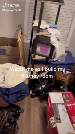 Creating a Fun Barney Room in My New House