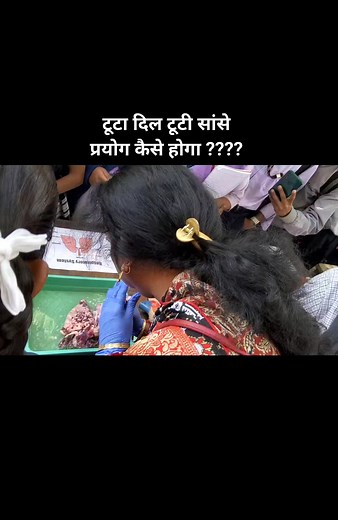 532K views · 745 reactions | Damaged mammal heart | Science Didi | Facebook