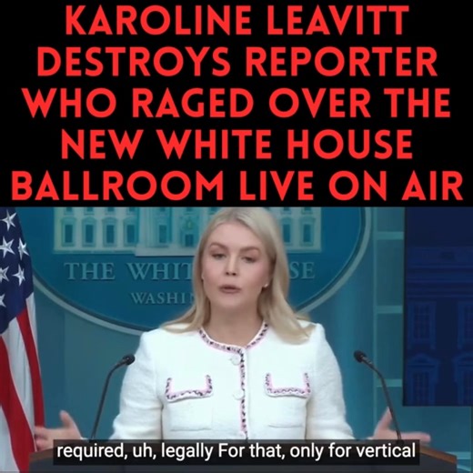 271K views · 7.8K reactions | OH WOW! Total annihilation!  | DC Swamp | Facebook