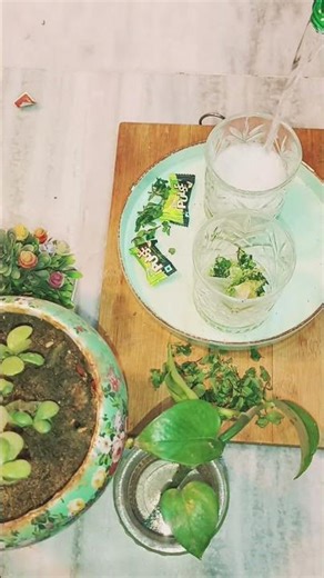 Stop scrolling! Try this refreshing mint lemon drink 🍋🌿” #recipe #refreshing #mint #tasty #cooldrink