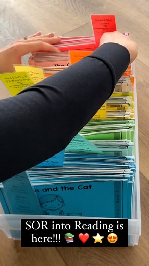 My entire year of phonics lessons and decodables planned and written for me... 🤩 ...where do I sign up?! ⬇️⬇️ Comment SOR for the link! | Education to the Core