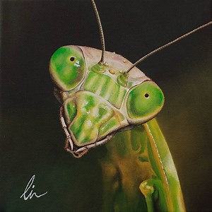 Praying Mantis [1994] new dvds